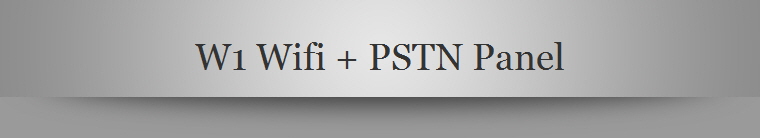 W1 Wifi + PSTN Panel